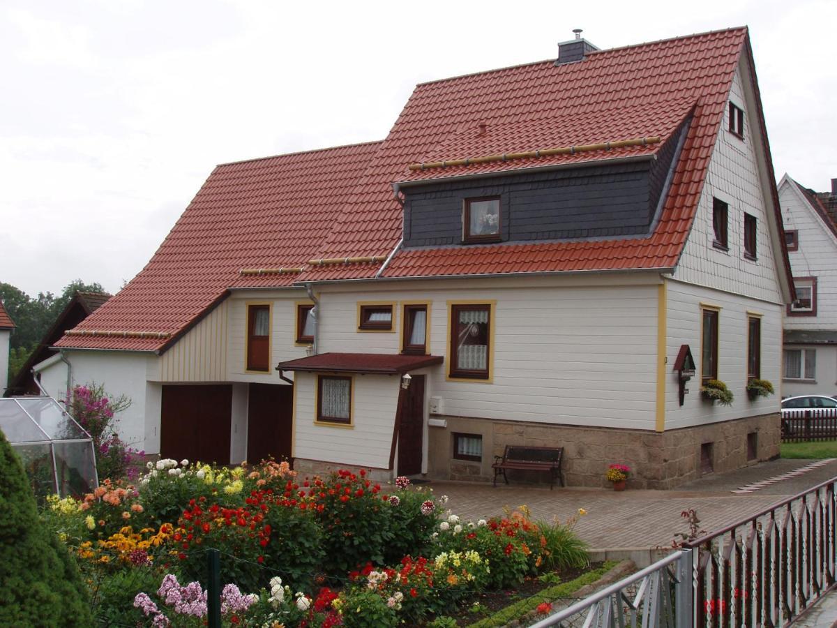 Ferienwohnungen Riessling Elend Esterno foto